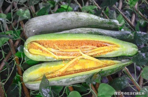 韩城某网红吃瓜视频,揭秘幕后真相，带你领略网红圈风云