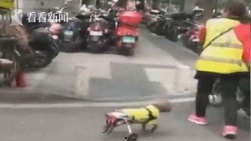 吃瓜狗车祸视频大全集最新,惊心动魄的瞬间回顾