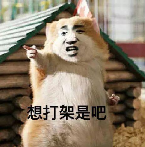 打架吵架吃瓜视频,打架吵架吃瓜视频背后的社会现象解析