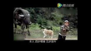 吃瓜搞笑内涵段子大全视频,搞笑内涵段子视频集锦