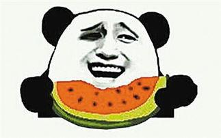 吃瓜群众的介绍视频,视频带你一探究竟