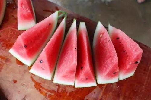 群众一路吃瓜视频大全,群众视频大全趣味盘点