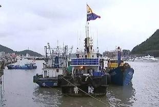 舟山吃瓜渔船事件始末视频,一场意外引发的争议与反思