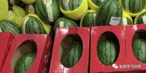 郑州师范大学吃瓜视频,揭秘幕后真相