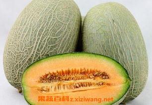 吃哈密瓜烫嘴视频大全图片,哈密瓜烫嘴瞬间，网友直呼过瘾！