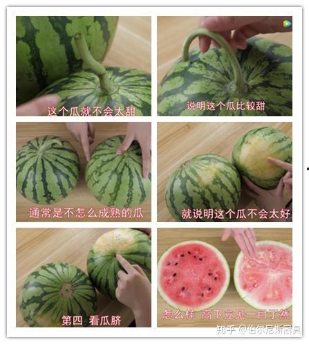 漂亮的吃瓜视频,跟随吃瓜视频领略视觉盛宴