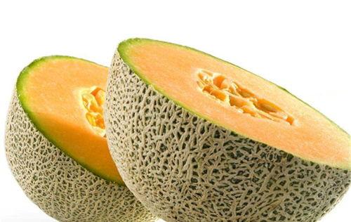 猫吃哈密瓜萝卜好吗视频,哈密瓜与萝卜的奇妙组合