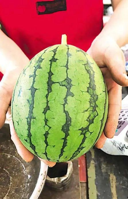 青岛群众吃瓜视频,欢乐氛围，共享夏日时光