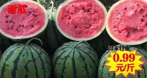 21分钟潮汕吃瓜视频,潮汕美食大揭秘，一场味蕾的盛宴之旅