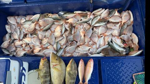 中国吃瓜船捡鱼视频大全,渔获满满，欢乐无限